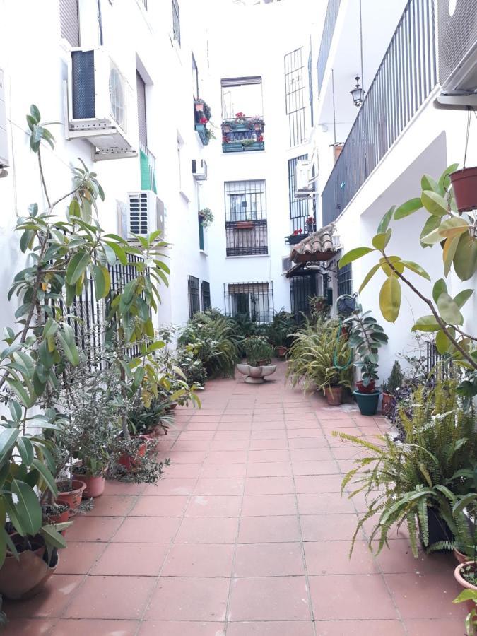شقة Apartamento Centro Juderia قرطبة المظهر الخارجي الصورة